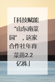 科技赋能“山东南菜园”，这家合作社年育菜苗2.2亿株