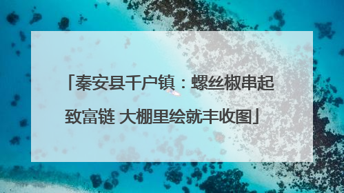 秦安县千户镇：螺丝椒串起致富链 大棚里绘就丰收图