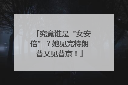 究竟谁是“女安倍”？她见完特朗普又见普京！
