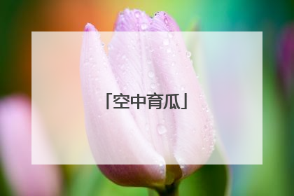 空中育瓜