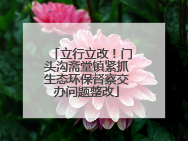 立行立改！门头沟斋堂镇紧抓生态环保督察交办问题整改
