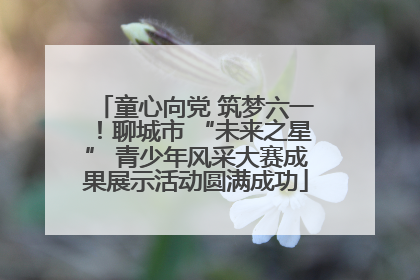 童心向党 筑梦六一！聊城市 “未来之星” 青少年风采大赛成果展示活动圆满成功