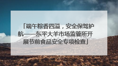 端午粽香四溢，安全保驾护航——东平大羊市场监管所开展节前食品安全专项检查