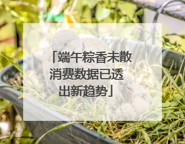 端午粽香未散 消费数据已透出新趋势