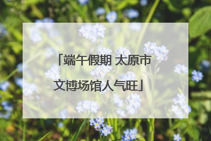 端午假期 太原市文博场馆人气旺