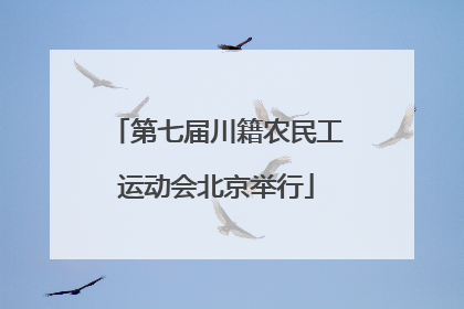 第七届川籍农民工运动会北京举行