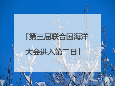 第三届联合国海洋大会进入第二日