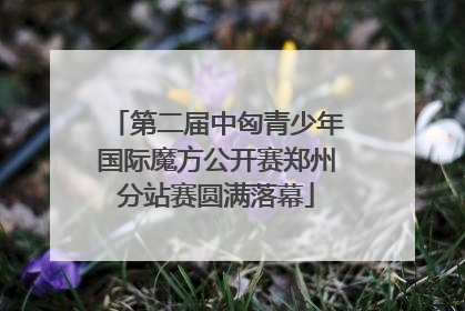 第二届中匈青少年国际魔方公开赛郑州分站赛圆满落幕
