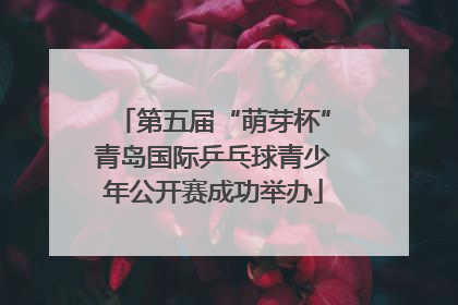第五届“萌芽杯”青岛国际乒乓球青少年公开赛成功举办
