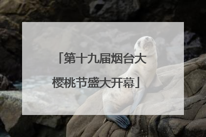第十九届烟台大樱桃节盛大开幕