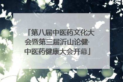 第八届中医药文化大会暨第三届沂山论健·中医药健康大会开幕