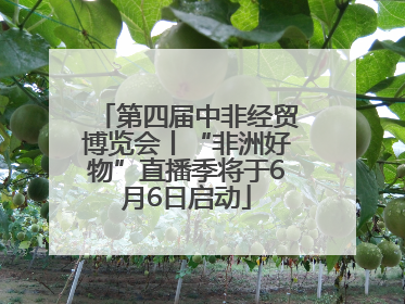 第四届中非经贸博览会丨“非洲好物”直播季将于6月6日启动