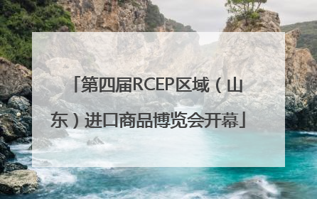 第四届RCEP区域（山东）进口商品博览会开幕