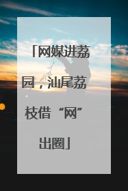 网媒进荔园，汕尾荔枝借“网”出圈