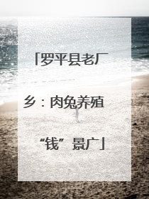 罗平县老厂乡：肉兔养殖“钱”景广