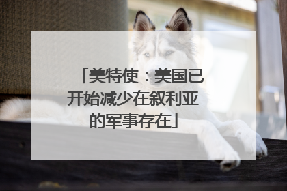 美特使：美国已开始减少在叙利亚的军事存在