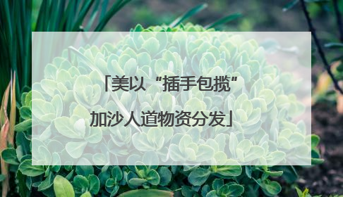 美以“插手包揽”加沙人道物资分发