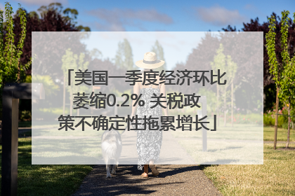美国一季度经济环比萎缩0.2% 关税政策不确定性拖累增长