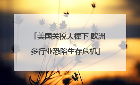 美国关税大棒下 欧洲多行业恐陷生存危机