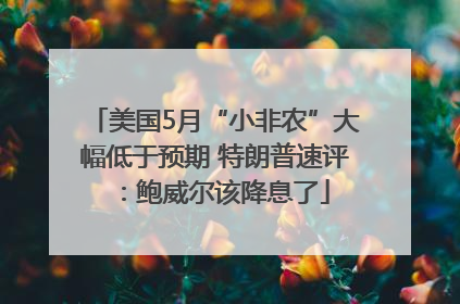 美国5月“小非农”大幅低于预期 特朗普速评：鲍威尔该降息了