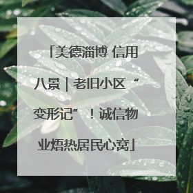 美德淄博 信用八景｜老旧小区“变形记”！诚信物业焐热居民心窝