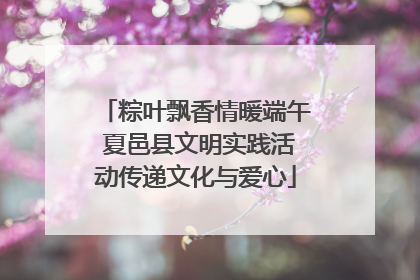 粽叶飘香情暖端午 夏邑县文明实践活动传递文化与爱心