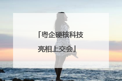 粤企硬核科技亮相上交会