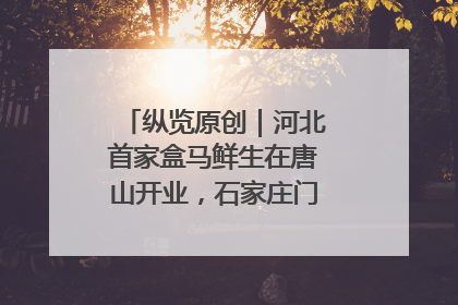 纵览原创｜河北首家盒马鲜生在唐山开业，石家庄门店预计8月开业