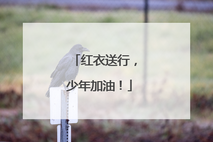 红衣送行，少年加油！
