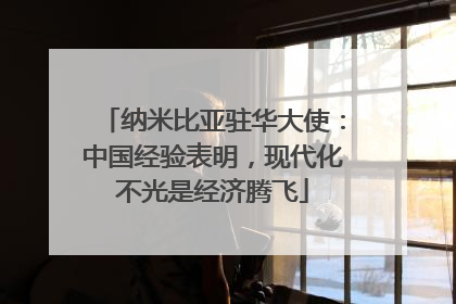 纳米比亚驻华大使：中国经验表明，现代化不光是经济腾飞