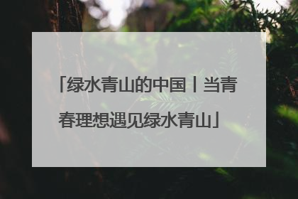 绿水青山的中国丨当青春理想遇见绿水青山