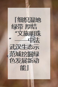 细织湿地绿带 厚结“文旅明珠”——中法武汉生态示范城挖掘绿色发展新动能