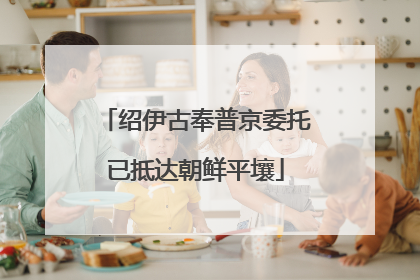 绍伊古奉普京委托已抵达朝鲜平壤