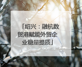 绍兴：融杭数贸港赋能外贸企业稳量提质