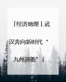 经济地理丨武汉奔向新时代“九州通衢”