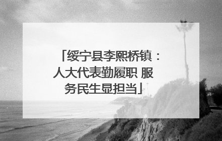 绥宁县李熙桥镇：人大代表勤履职 服务民生显担当