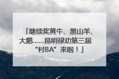 继续奖黄牛、黑山羊、大鹅……昆明禄劝第三届“村BA”来啦！