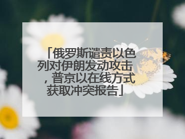 俄罗斯谴责以色列对伊朗发动攻击，普京以在线方式获取冲突报告