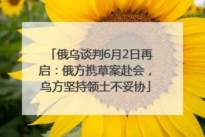 俄乌谈判6月2日再启：俄方携草案赴会，乌方坚持领土不妥协