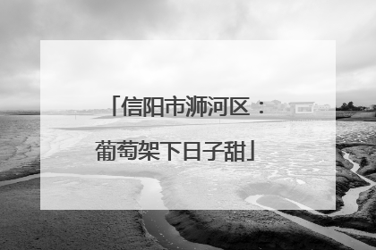 信阳市浉河区：葡萄架下日子甜