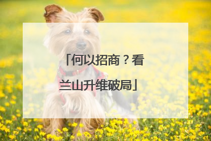 何以招商？看兰山升维破局