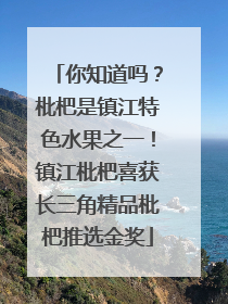 你知道吗？枇杷是镇江特色水果之一！镇江枇杷喜获长三角精品枇杷推选金奖