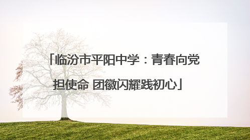 临汾市平阳中学：青春向党担使命 团徽闪耀践初心