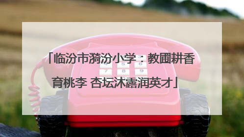 临汾市漪汾小学：教圃耕香育桃李 杏坛沐露润英才
