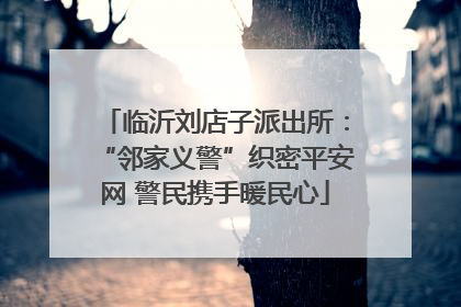 临沂刘店子派出所：“邻家义警”织密平安网 警民携手暖民心