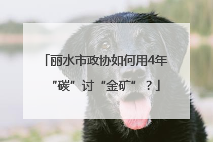 丽水市政协如何用4年“碳”讨“金矿”？