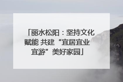 丽水松阳：坚持文化赋能 共建“宜居宜业宜游”美好家园