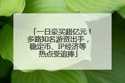 一日豪买超亿元！多路知名游资出手，稳定币、IP经济等热点受追捧