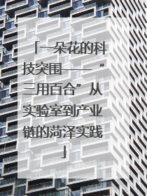 一朵花的科技突围——“三用百合”从实验室到产业链的菏泽实践