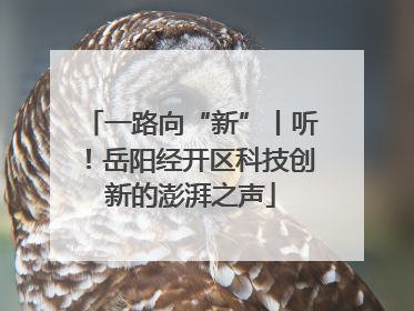 一路向“新”丨听！岳阳经开区科技创新的澎湃之声